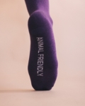 Purple Socks