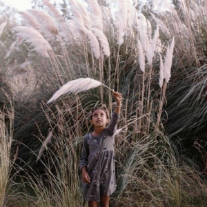 Dress in grey and "Dancing in the cosmos" print