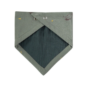 Sadie Reversible bib in green
