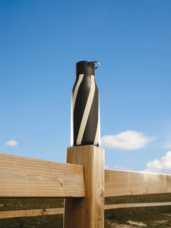 Circus Bottle Striped Mocca