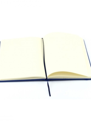 callum-stardust-dreams-notebook-1