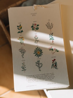 Calendario - Gala Pont