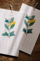 Calendario - Gala Pont