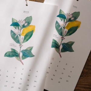 lefrik-calendario-gala-pont-2