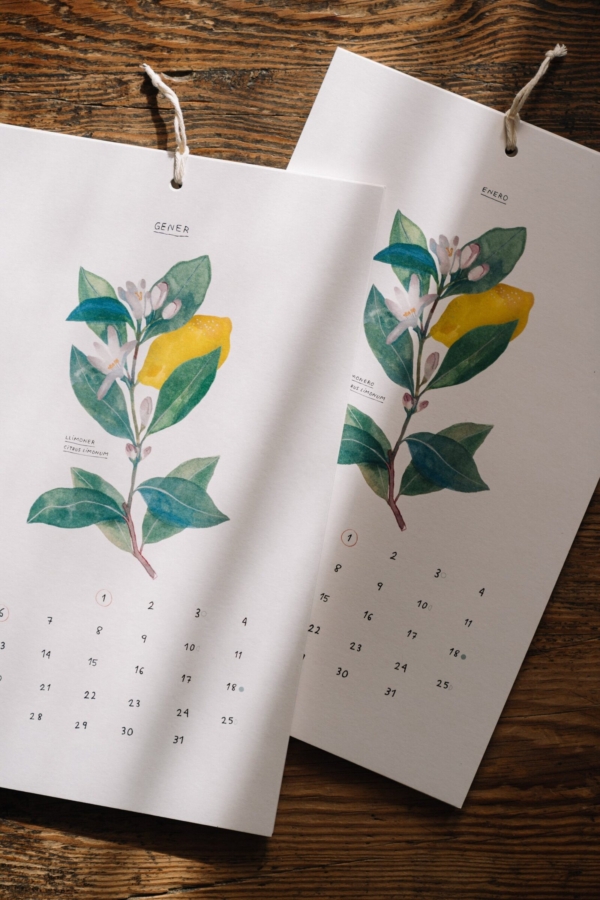 Calendario - Gala Pont