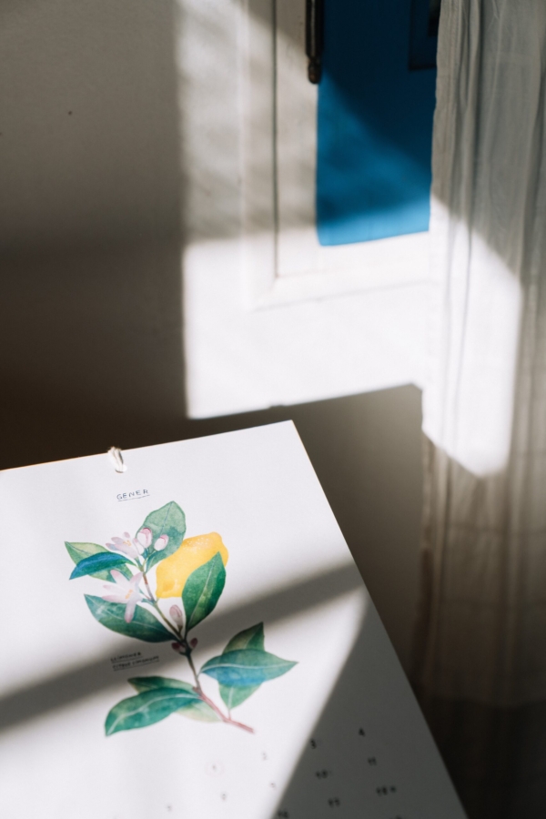 Calendario - Gala Pont