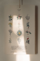 Calendario - Gala Pont