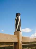 Botella Circus Striped Mocca