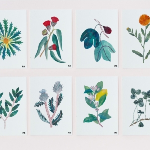 Postal de planta - Gala Pont