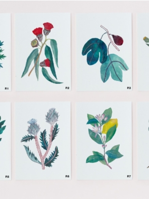 Postal de planta - Gala Pont