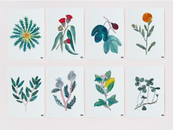 Postal de planta - Gala Pont