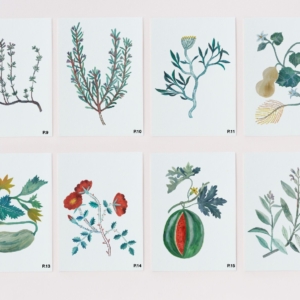 lefrik-postal-de-planta-gala-pont-2