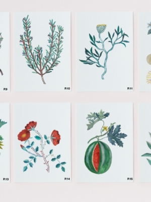 lefrik-postal-de-planta-gala-pont-2