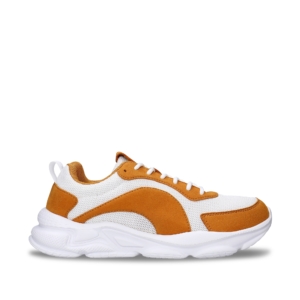 Dan Amarillo Tostado