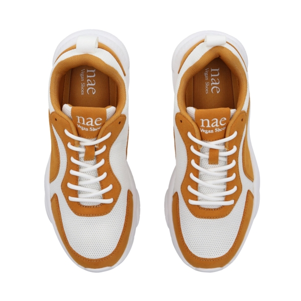 Dan Amarillo Tostado