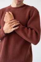 Jersey Tam granate Grosella en algodón orgánico