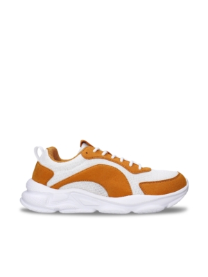 Dan Amarillo Tostado