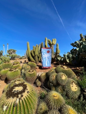 island-soulmates-blue-palma-2