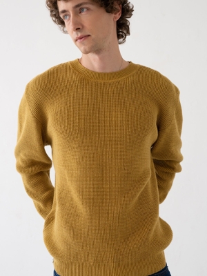 Jersey Tam mostaza en algodón orgánico