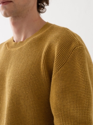 tiralahilacha-tam-sweater-in-organic-cotton-mustard-2